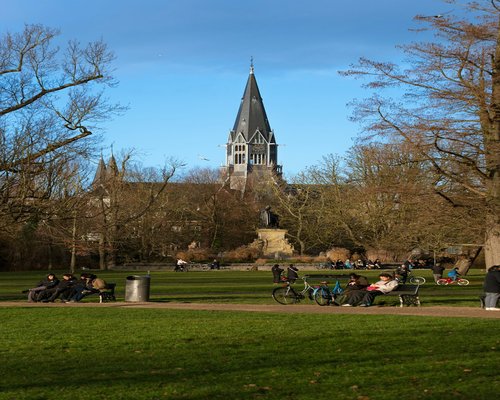 Person riding a bicycle in a sunny city park